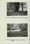 Ewidencja parkowa, skan nr 16