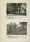 Ewidencja parkowa, skan nr 15