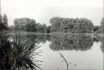 Ewidencja parkowa, skan nr 13