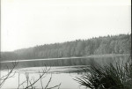 Ewidencja parkowa, skan nr 15