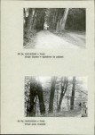 Ewidencja parkowa, skan nr 12