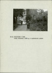 Ewidencja parkowa, skan nr 13