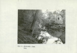 Ewidencja parkowa, skan nr 13