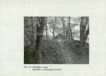 Ewidencja parkowa, skan nr 14