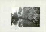 Ewidencja parkowa, skan nr 15