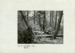 Ewidencja parkowa, skan nr 16