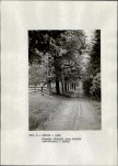 EP - Ewidencja parkowa, skan nr 16