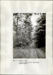 EP - Ewidencja parkowa, skan nr 17
