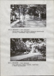 Ewidencja parkowa, skan nr 12