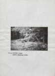EP - Ewidencja parkowa, skan nr 13