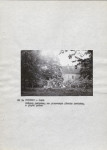 EP - Ewidencja parkowa, skan nr 15