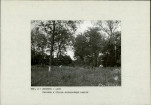 EP - Ewidencja parkowa, skan nr 12
