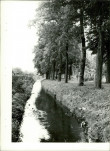 Ewidencja parkowa, skan nr 22