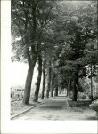 Ewidencja parkowa, skan nr 24