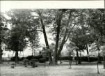 Ewidencja parkowa, skan nr 26