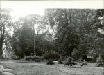 Ewidencja parkowa, skan nr 20