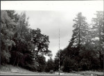 Ewidencja parkowa, skan nr 22