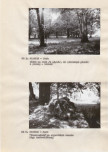 EP - Ewidencja parkowa, skan nr 14