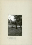 EP - Ewidencja parkowa, skan nr 15