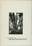 Ewidencja parkowa, skan nr 15