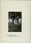 Ewidencja parkowa, skan nr 17