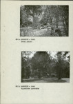 Ewidencja parkowa, skan nr 14