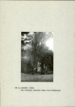 Ewidencja parkowa, skan nr 13