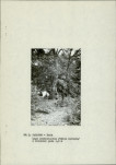 Ewidencja parkowa, skan nr 14