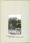Ewidencja parkowa, skan nr 13