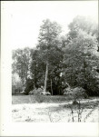 Ewidencja parkowa, skan nr 24