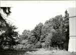 Ewidencja parkowa, skan nr 46