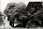 Ewidencja parkowa, skan nr 24