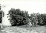 Ewidencja parkowa, skan nr 15