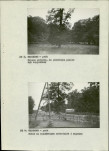 Ewidencja parkowa, skan nr 14