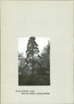 Ewidencja parkowa, skan nr 13