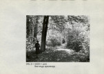 EP - Ewidencja parkowa, skan nr 14
