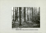 EP - Ewidencja parkowa, skan nr 14