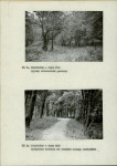 Ewidencja parkowa, skan nr 11