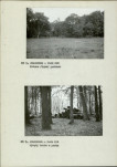Ewidencja parkowa, skan nr 13