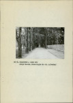 Ewidencja parkowa, skan nr 15