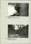 EP - Ewidencja parkowa, skan nr 14