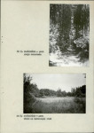 EP - Ewidencja parkowa, skan nr 16