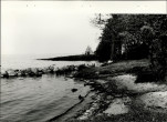 Ewidencja parkowa, skan nr 39