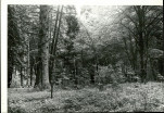Ewidencja parkowa, skan nr 20