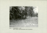 EP - Ewidencja parkowa, skan nr 19