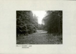 EP - Ewidencja parkowa, skan nr 19