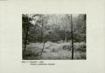 EP - Ewidencja parkowa, skan nr 20