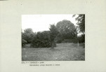 EP - Ewidencja parkowa, skan nr 15