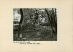 Ewidencja parkowa, skan nr 19