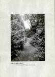EP - Ewidencja parkowa, skan nr 12